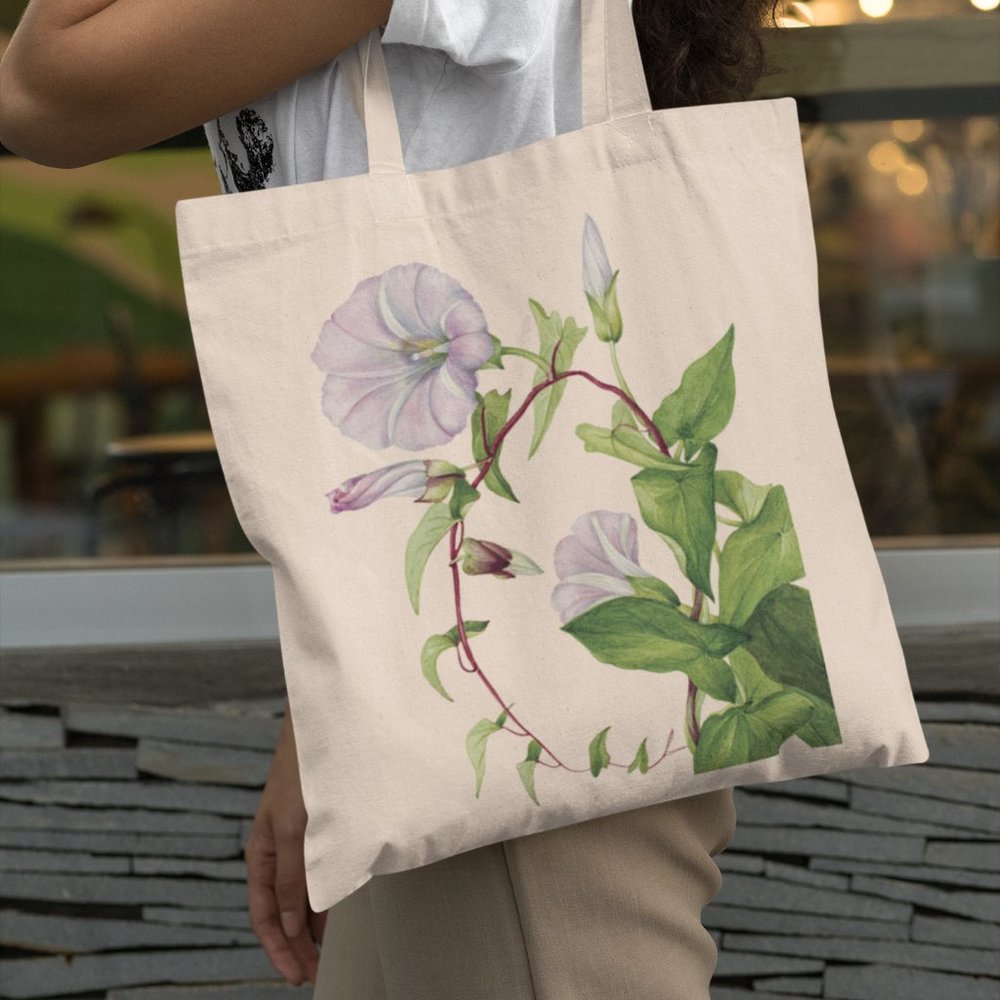 Hedge False Bindweed Vintage Watercolor Floral Print Graphic Canvas Tote Bag
